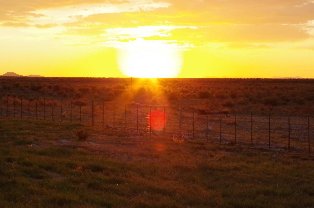Frans Indongo Lodge Otjiwarongo Exteriör bild