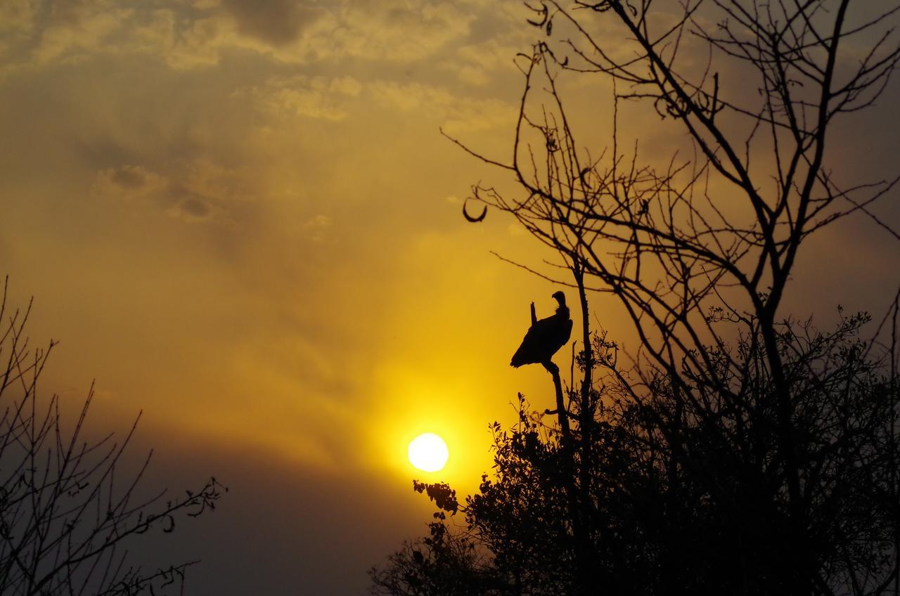 Frans Indongo Lodge Otjiwarongo Exteriör bild